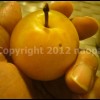 imagebam.com