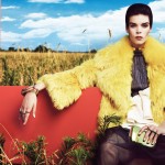 imagebam.com
