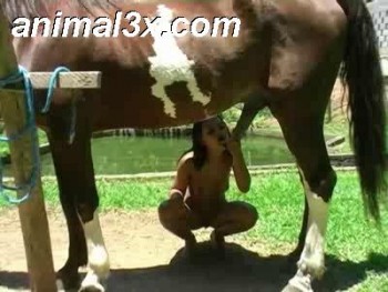 Crazy Cow cc1160 Camila Horse Sex Action 4b8007211692763 Crazy Cow cc1160 Camila Horse Sex Action