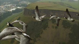 uump4.cc_BBC：飞越地球 Earthflight.2011.720p.BluRay.x264-xiaofriend 24.35G