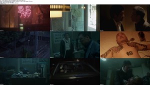 Download Tokyo Playboy Club (2011) DVDRip 400MB Ganool
