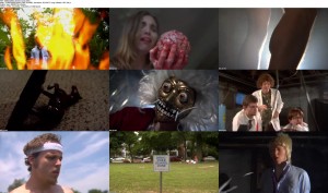 Download The Taint (2010) DVDRip 300MB Ganool 