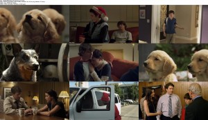 Download Santas Little Yelpers (2012) DVDRip 350MB Ganool 