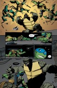 Teenage Mutant Ninja Turtles #16 Teenage Mutant Ninja Turtles #16