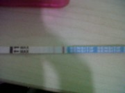 ImageBam image upload