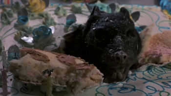 [Kép: c12e10230844607.jpg]