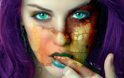 imagebam.com