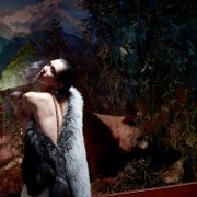 imagebam.com