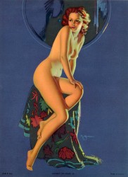 imagebam.com