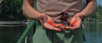 [Kép: fdd761239101087.jpg]