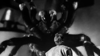 [Kép: 2da8d2244315185.jpg]