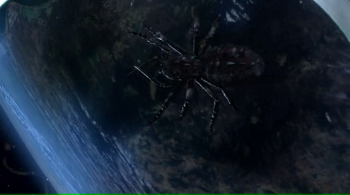 [Kép: 1a4802245290774.jpg]