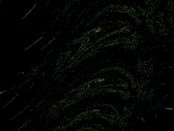 ImageBam image upload