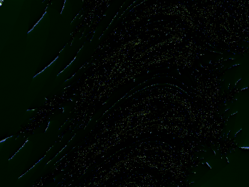 ImageBam image upload