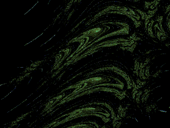 ImageBam image upload