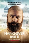 Мальчишник в Вегасе 2 / The Hangover 2 (2011) (65xHQ) 05c987258975425
