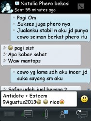 ImageBam image upload