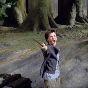 Гарри Поттер и узник Азкабана / Harry Potter and the Prisoner of Azkaban (Уотсон, Гринт, Рэдклифф, 2004) 083490277425421