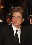 Бенисио Дель Торо (Benicio Del Toro) Cannes Film Festival, 'Sin City' Premiere (19 May 2005) (86xHQ) 38fef9278578826