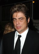 Бенисио Дель Торо (Benicio Del Toro) Cannes Film Festival, 'Sin City' Premiere (19 May 2005) (86xHQ) 8e6211278578663