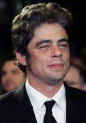 Бенисио Дель Торо (Benicio Del Toro) Cannes Film Festival, 'Sin City' Premiere (19 May 2005) (86xHQ) 9a92ab278578709
