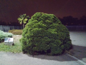 ImageBam image upload