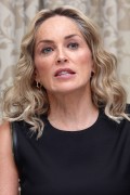 Шэрон Стоун (Sharon Stone) Lovelace Press Conference Portraits at the Four Seasons Hotel in Beverly Hills - August 5 2013 - 27xHQ 5e9d85287775219